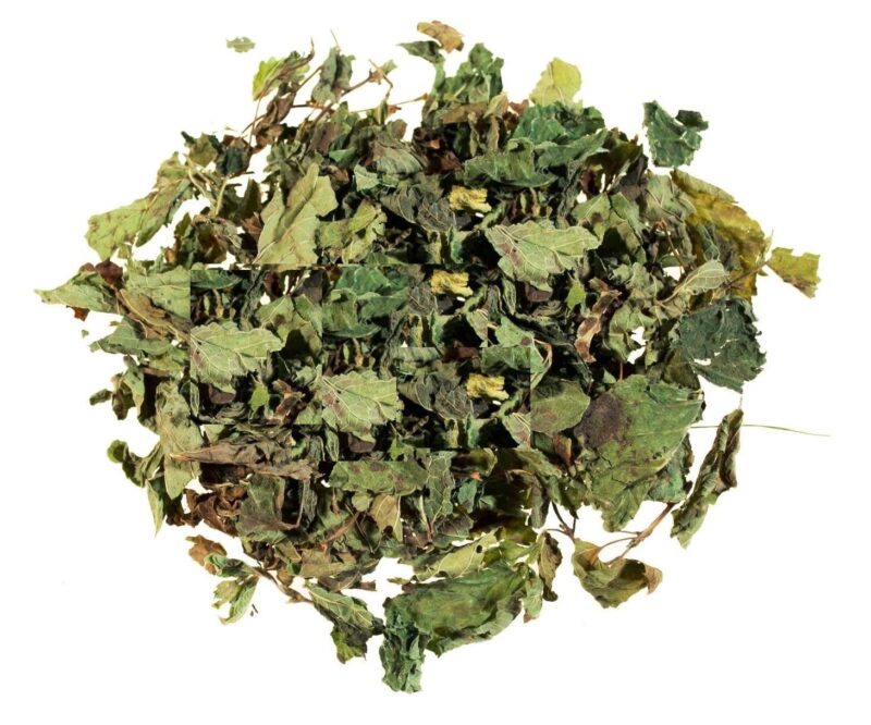 Mélisse, feuille bio