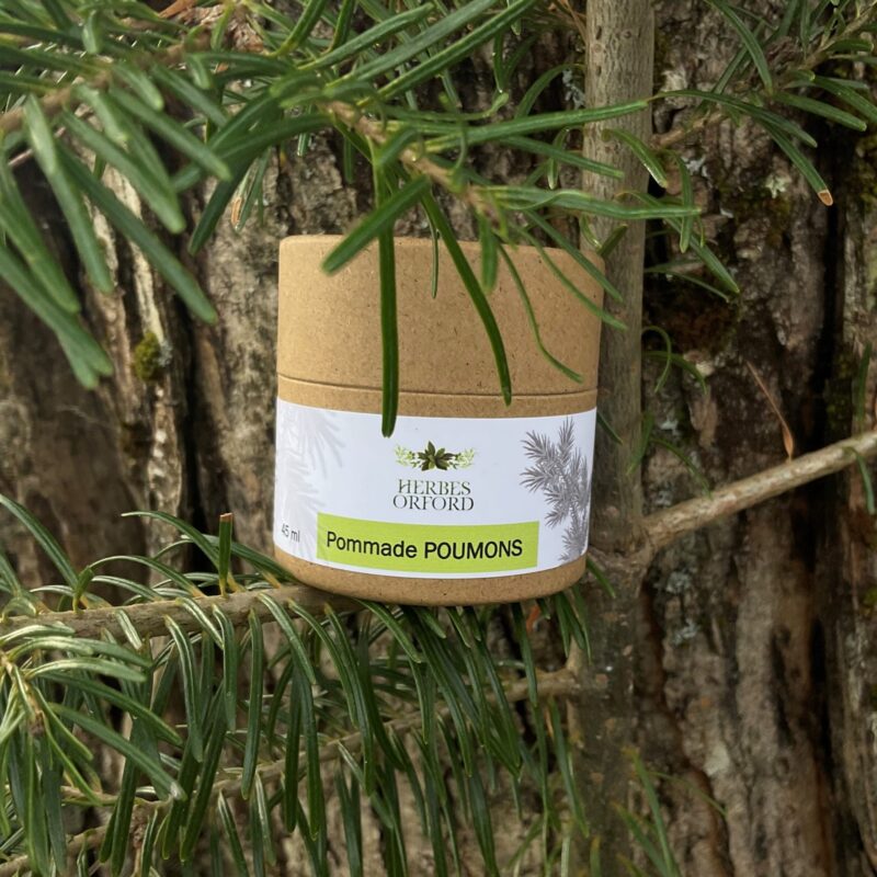 Pommade POUMONS