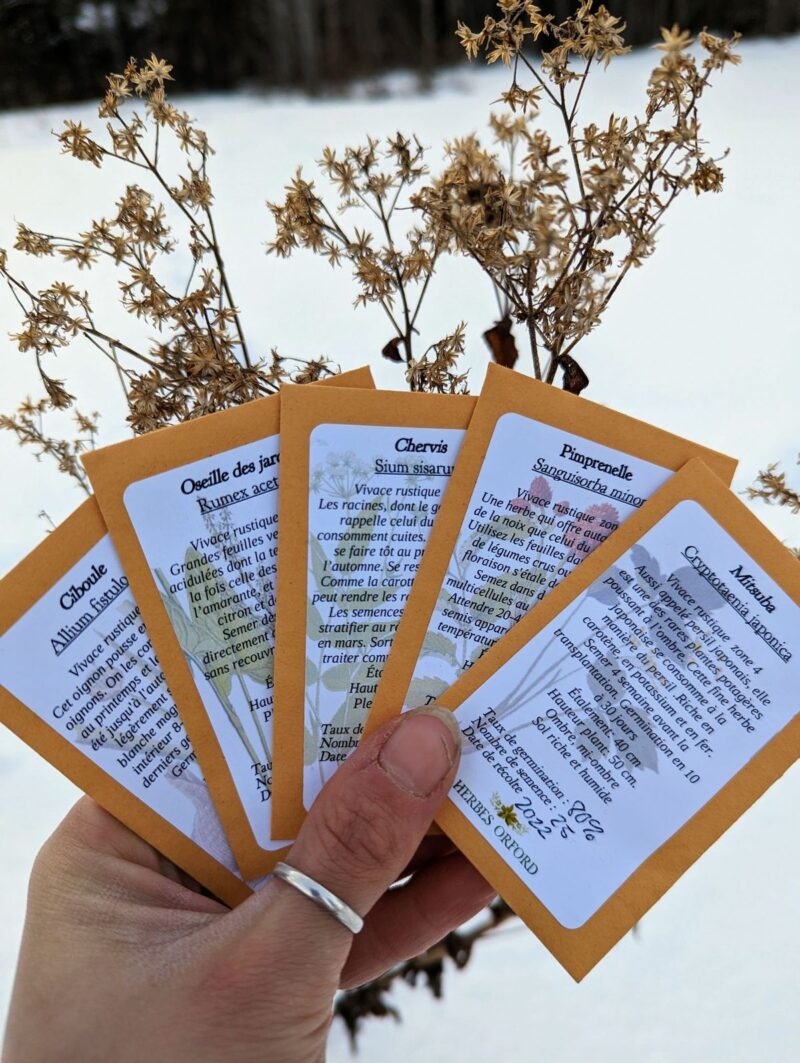 Trousse de semences: plantes comestibles – Image 2