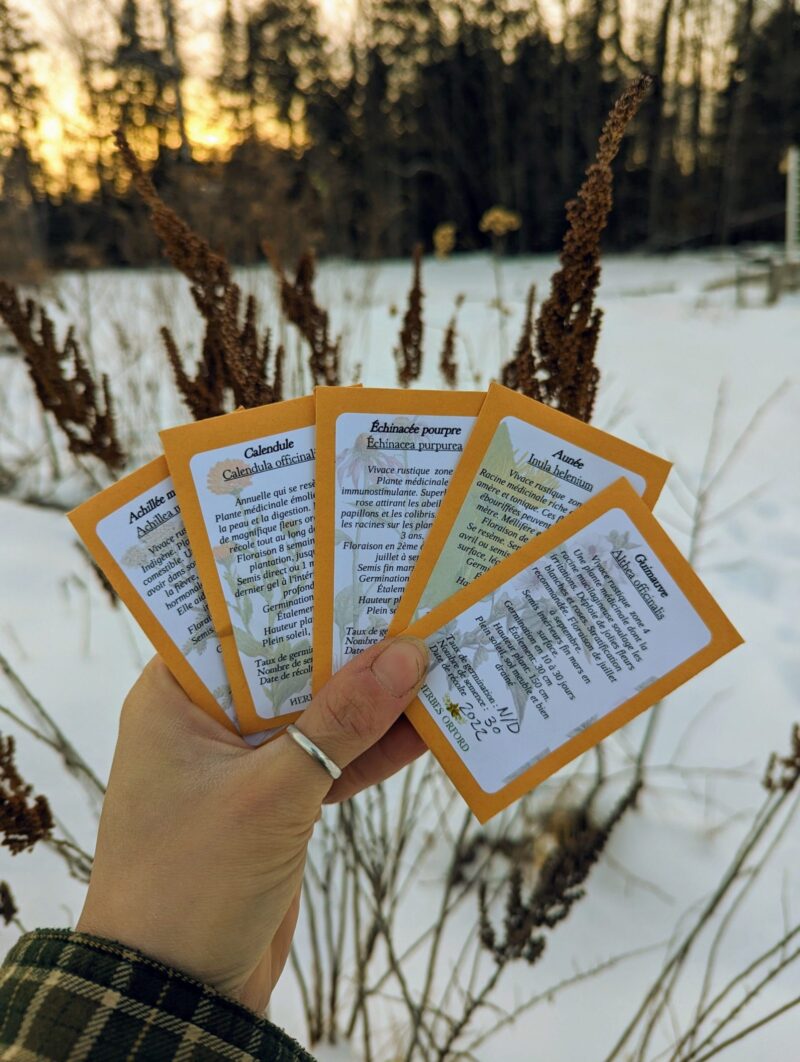 Trousse de semences: plantes médicinales – Image 2