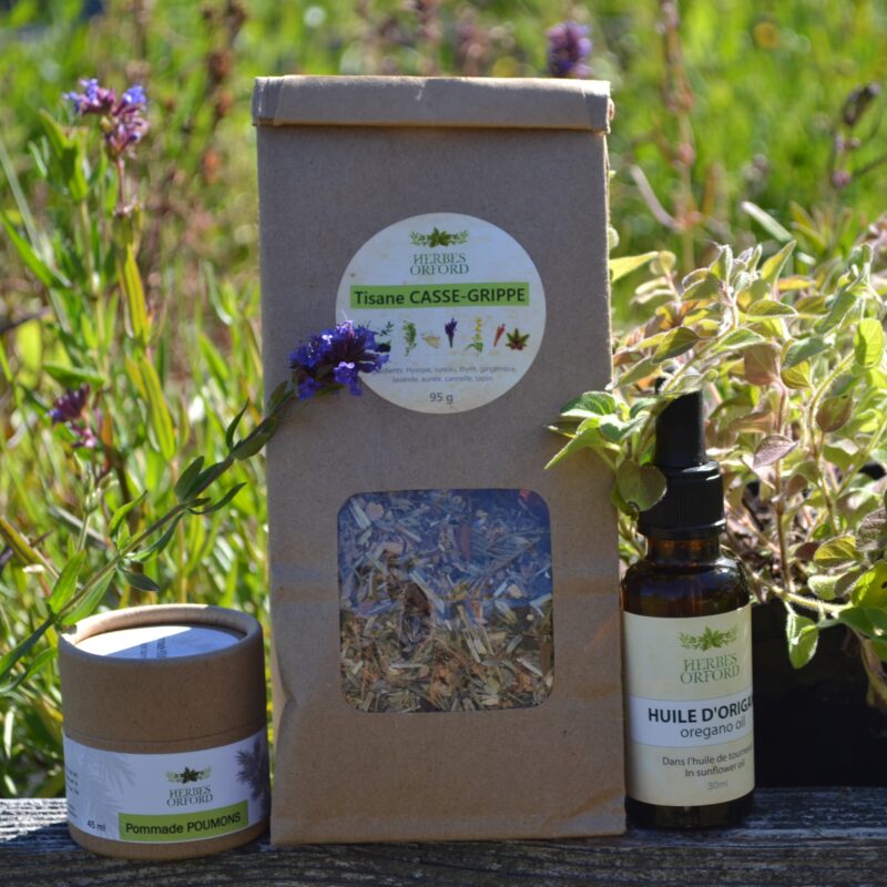 Trio hivernal - 25% de réduction