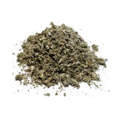 Cataire, fleur feuille bio - Herbes Orford