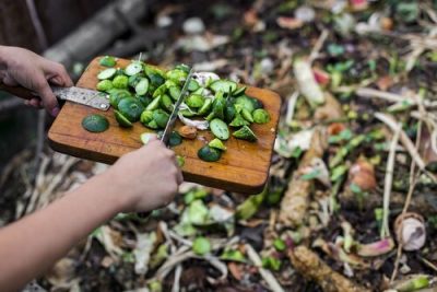 2025-06-15 - L’ABC du compost pour optimiser vos cultures!