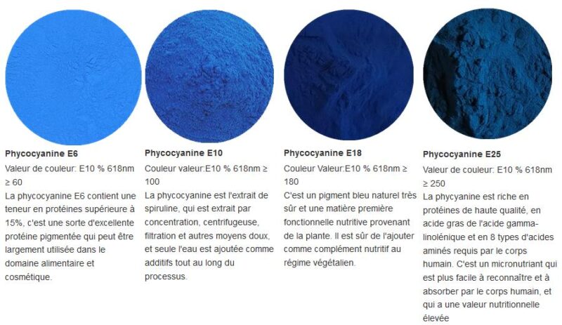Spiruline bleu, poudre – Image 3