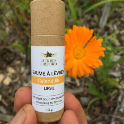 Baume à lèvres hydratant Calendule