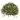Passiflore, herbe bio