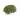 Scutellaire, herbe bio