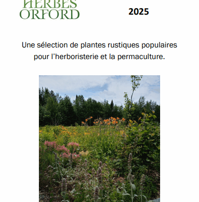 Liste de plantes pépinière
